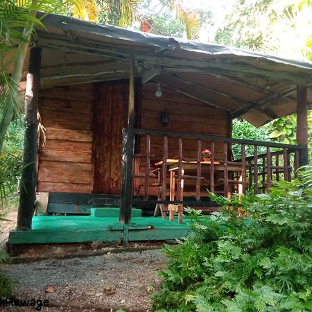 My House Ahangama Chambre photo