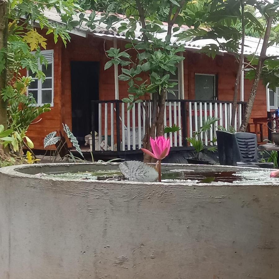My House Ahangama Extérieur photo